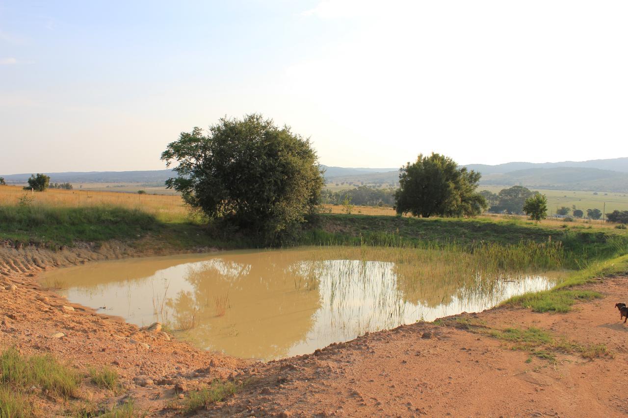 Zimbi Lodge 모디몰레 외부 사진